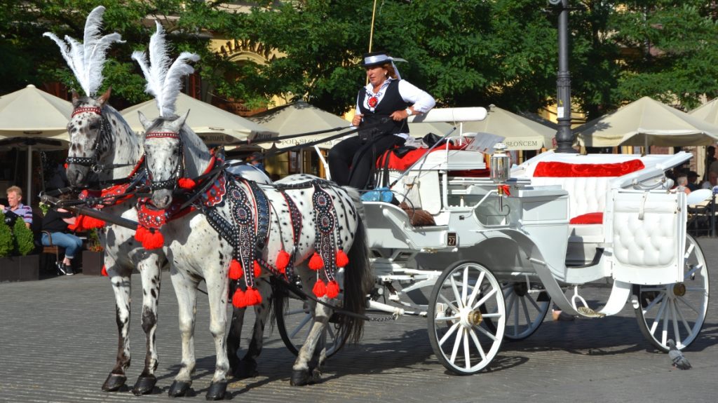 Häst och vagn i Krakow
