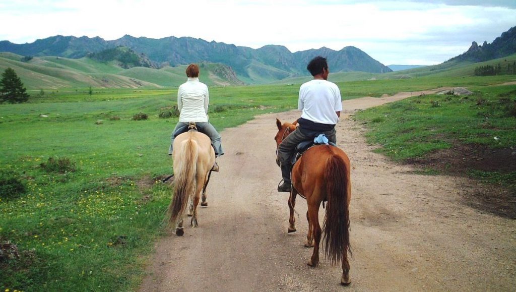 Hästar Mongoliet