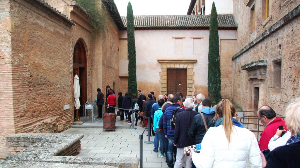 Köer, köer och köer i Alhambra