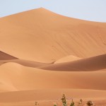 Sahara – lyxcamping och dromedarer i öknen