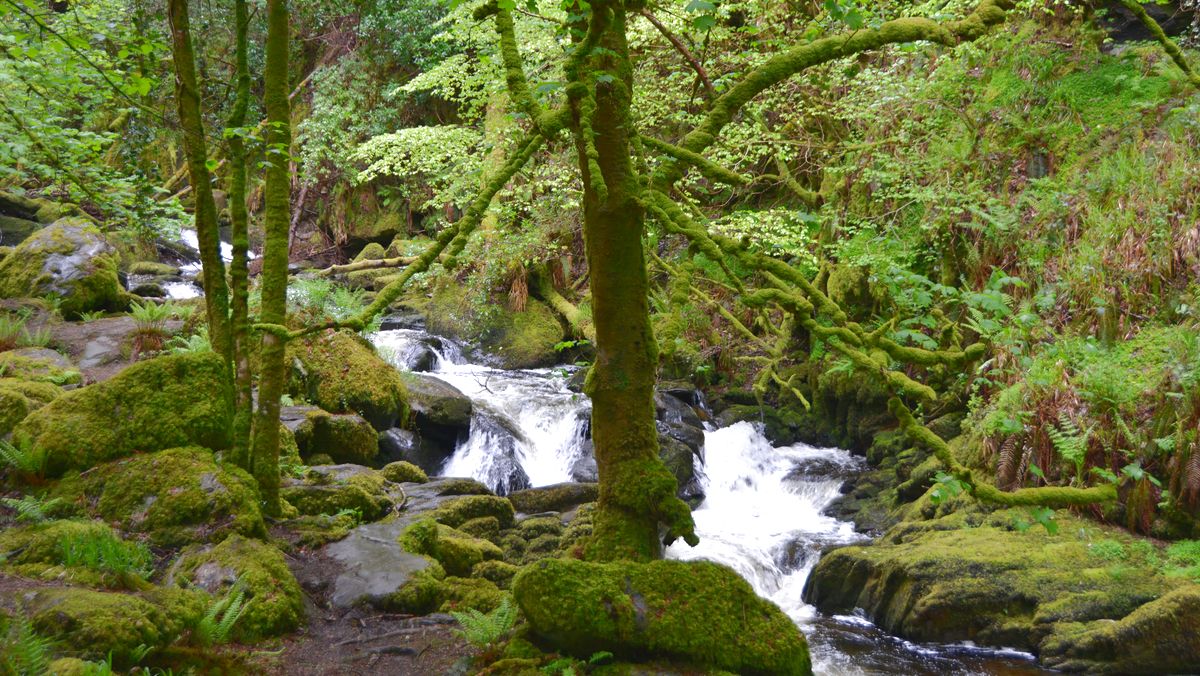 Nationalpark Irland