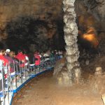 Grottan i Postojna i Slovenien