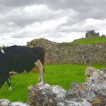Rock of Cashel – Den kungliga Cashelklippan på Irland