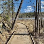 Tyresta nationalpark – tips om entréer och leder