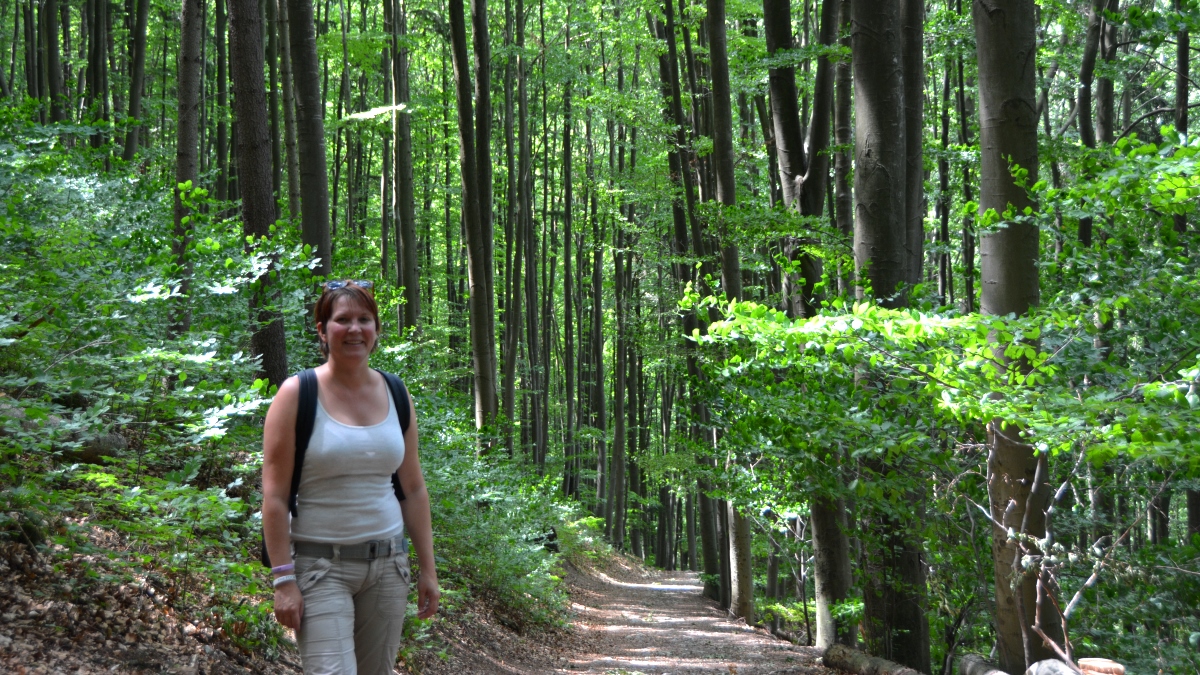 Promenad i tjeckisk skog