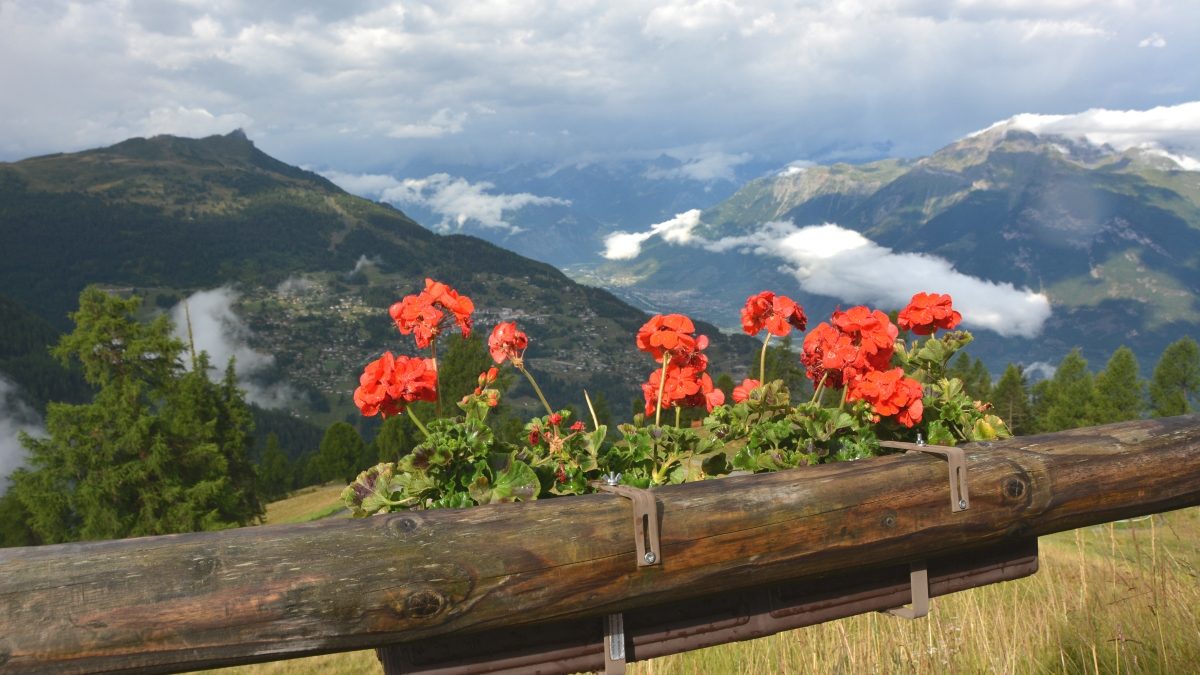 Utsikt Schweiz