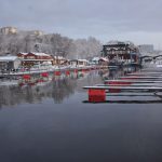 Vinter i pampas marina i Solna