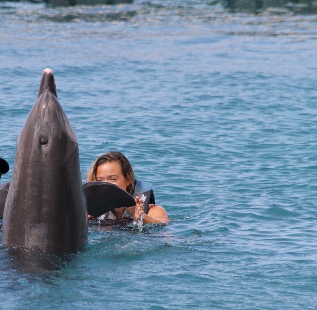 Delfiner på Moorea