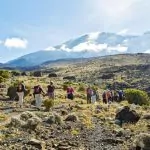 Att bestiga Kilimanjaro – drömmar om Afrika