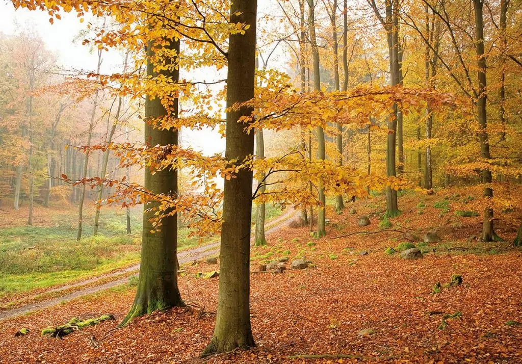 Vandra i Mecklenburg-Vorpommern