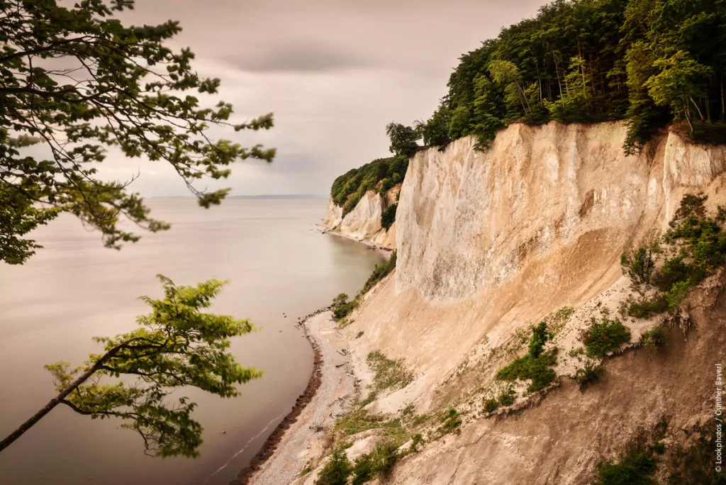 Naturområden i Tyskland - Jasmund