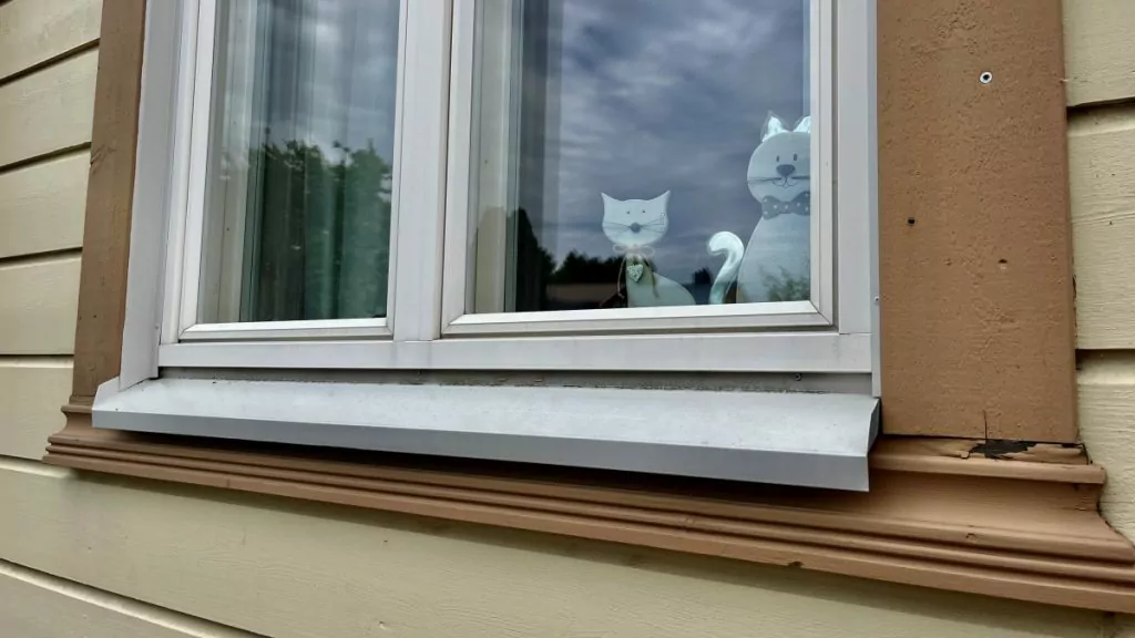 katter i fönster