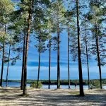 First Camp Arcus-Luleå – härlig camping vid Lule älv