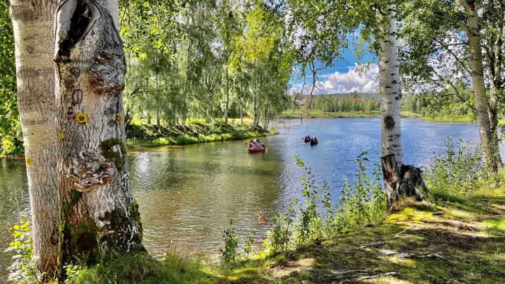 Att göra i Skellefteå - paddla kajak