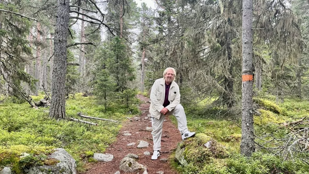 Vandra i skogen