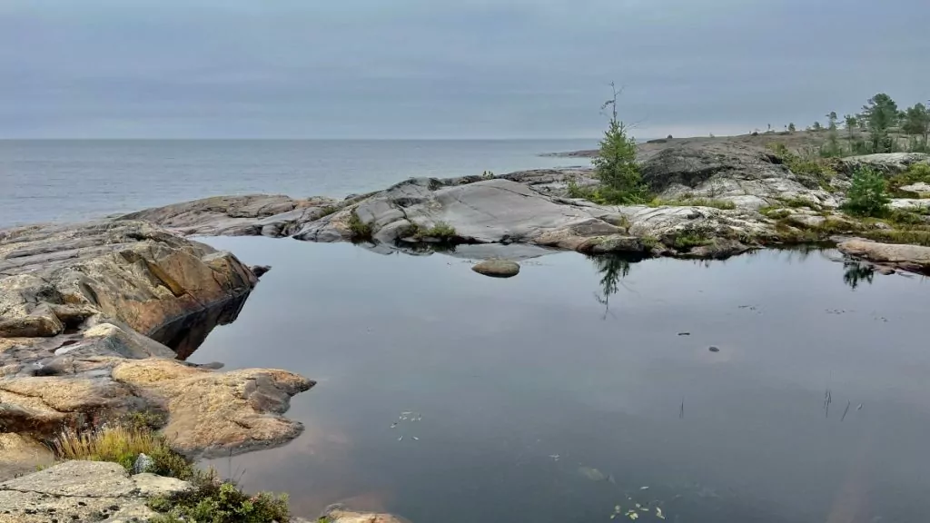 Att göra i Skellefteå - Bjuröklubb