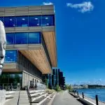 Att göra i Umeå – 18 tips till björkarnas stad