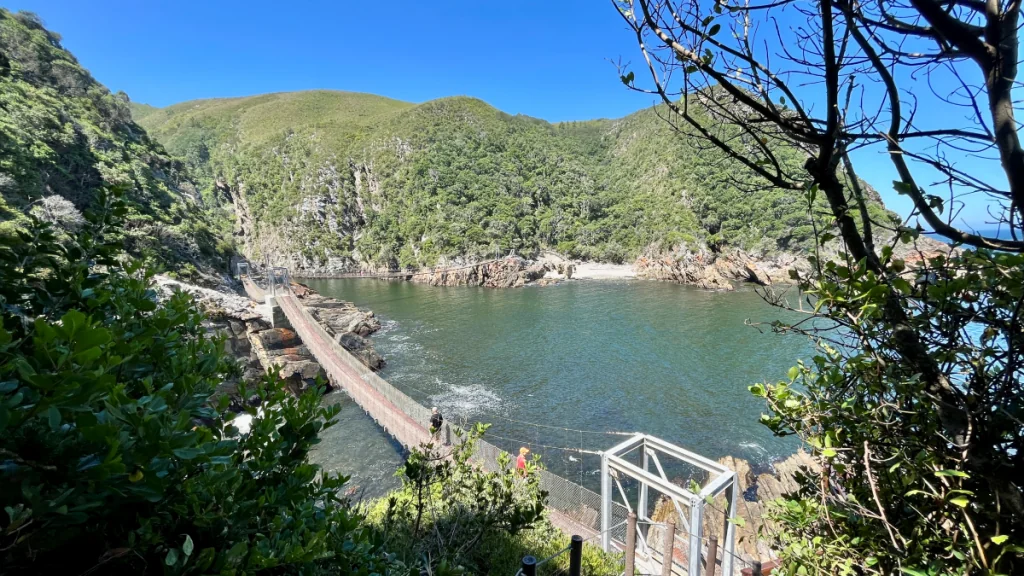 Tsitsikamma nationalpark i Sydafrika