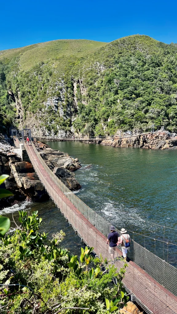 Tsitsikamma nationalpark i Sydafrika