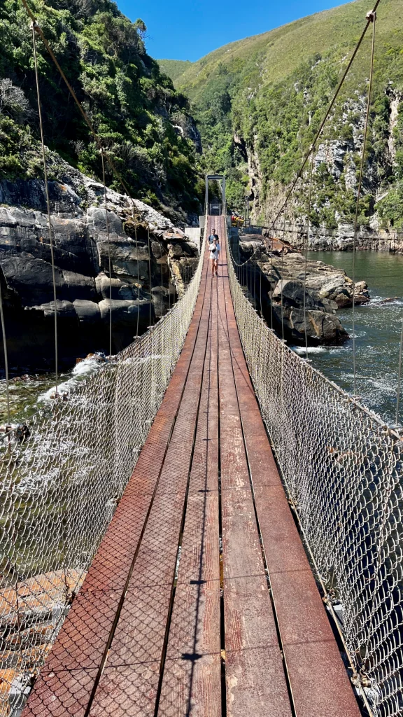 Tsitsikamma nationalpark i Sydafrika