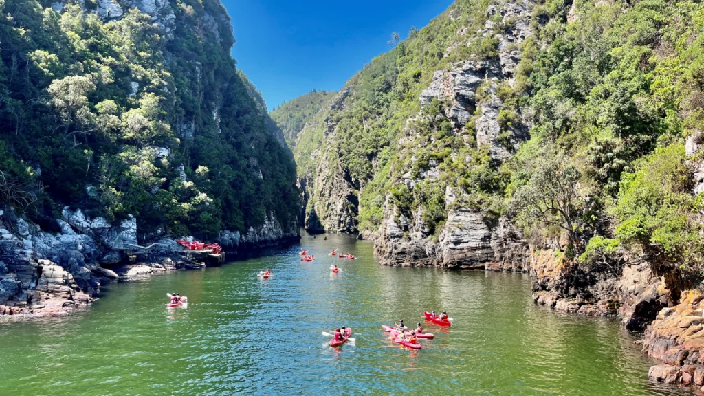 Tsitsikamma nationalpark i Sydafrika