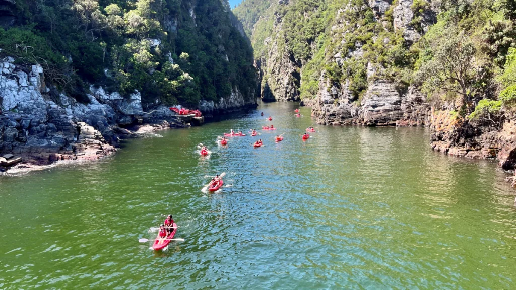 Tsitsikamma nationalpark i Sydafrika