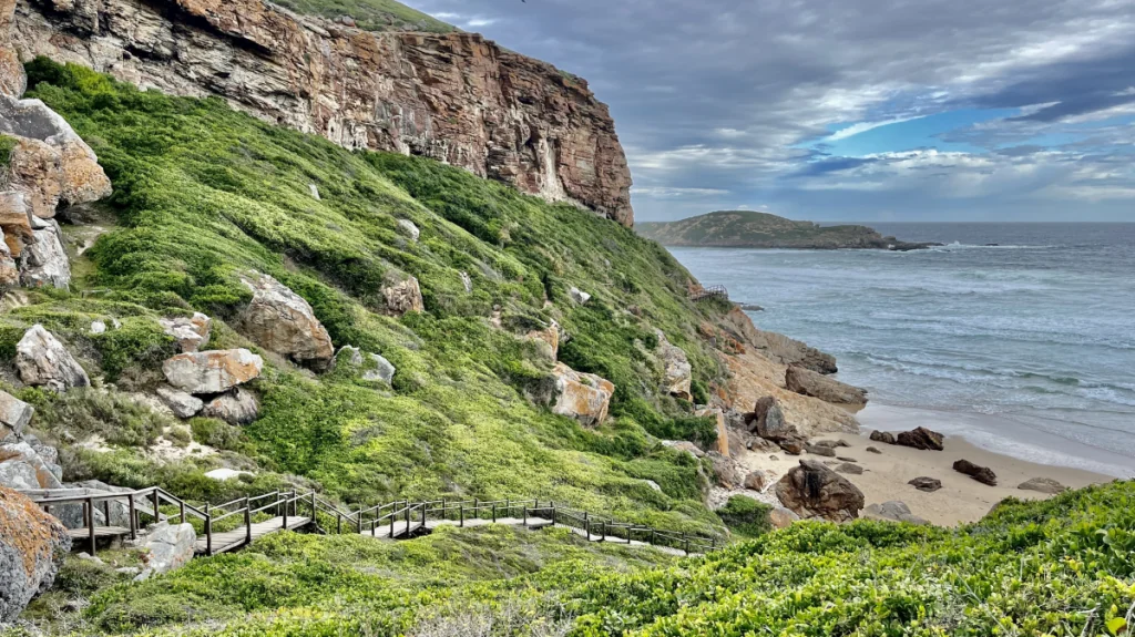 Att besöka Robberg naturreservat i Sydafrika