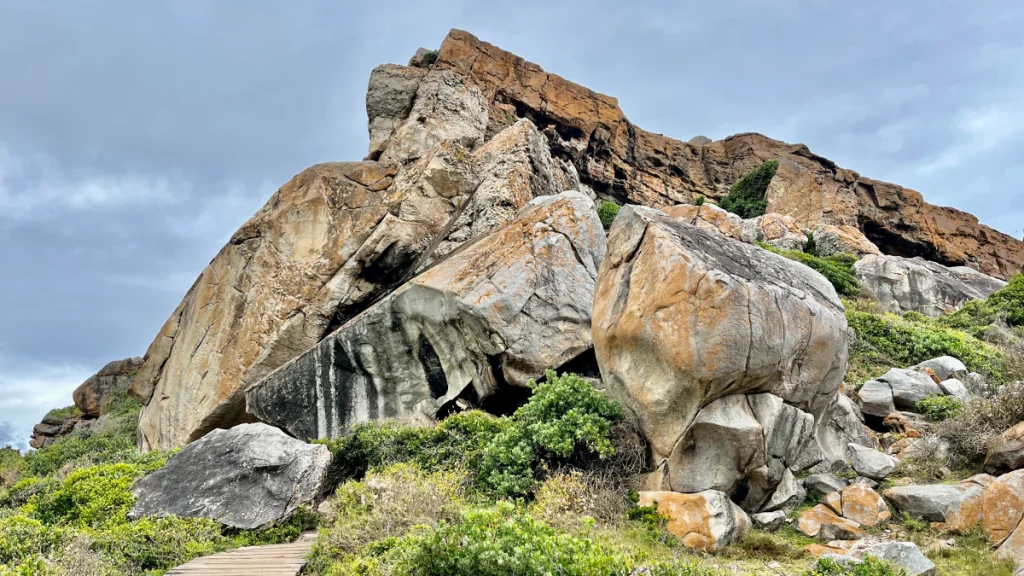 Att besöka Robberg naturreservat i Sydafrika