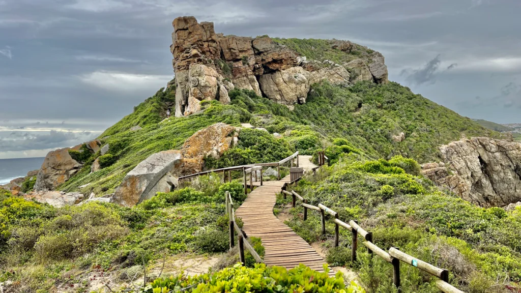 Att besöka Robberg naturreservat i Sydafrika