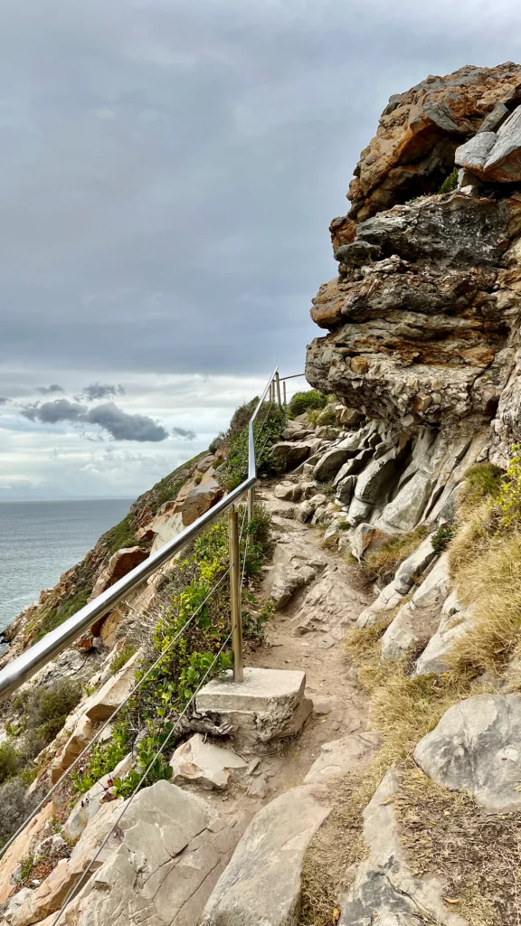 Att besöka Robberg naturreservat i Sydafrika