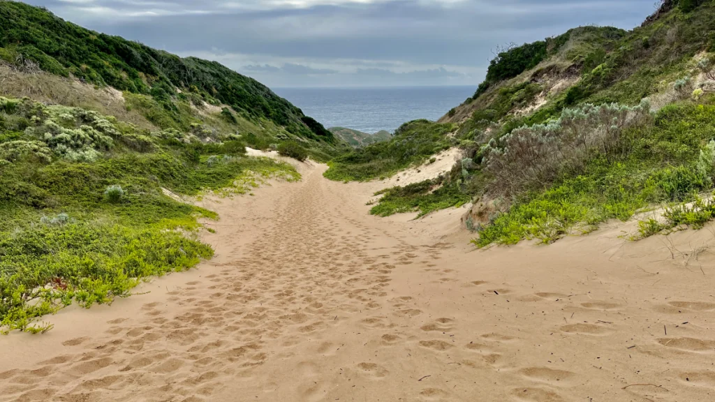 Att besöka Robberg naturreservat i Sydafrika