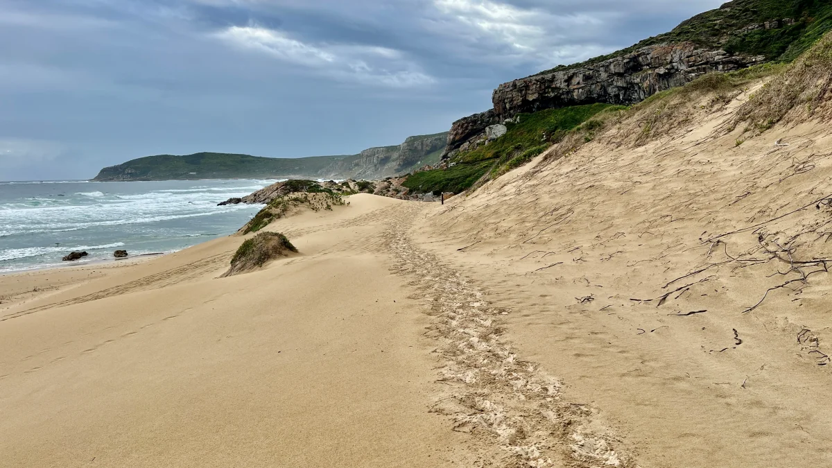 Att besöka Robberg naturreservat i Sydafrika