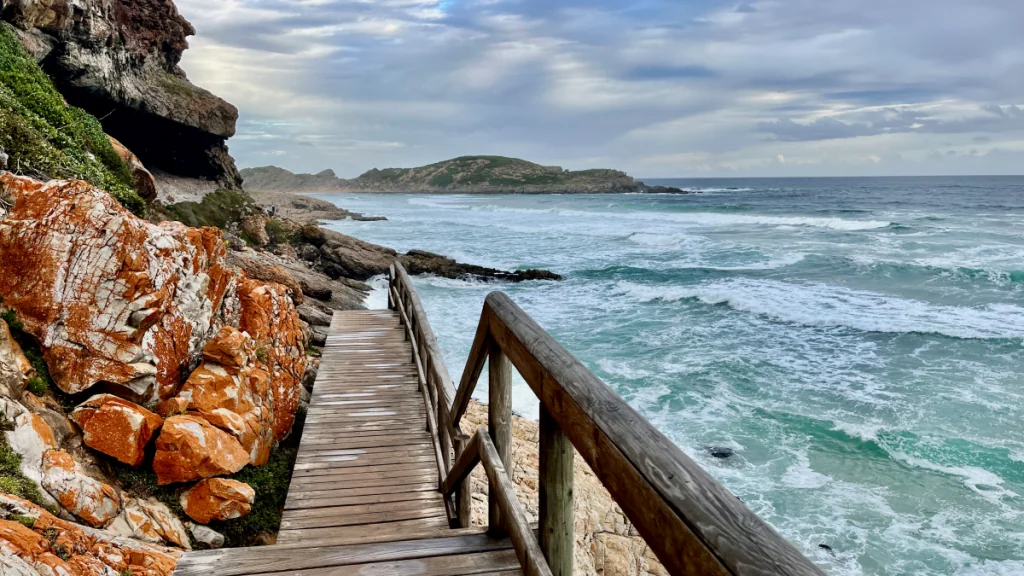 Att besöka Robberg naturreservat i Sydafrika