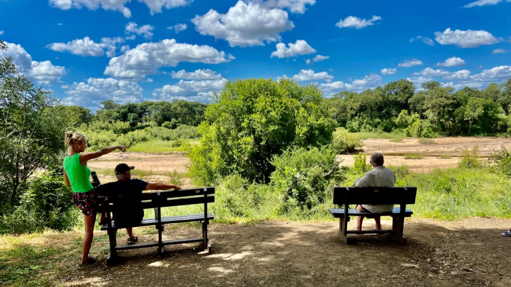 Att besöka Krugerparken i Sydafrika