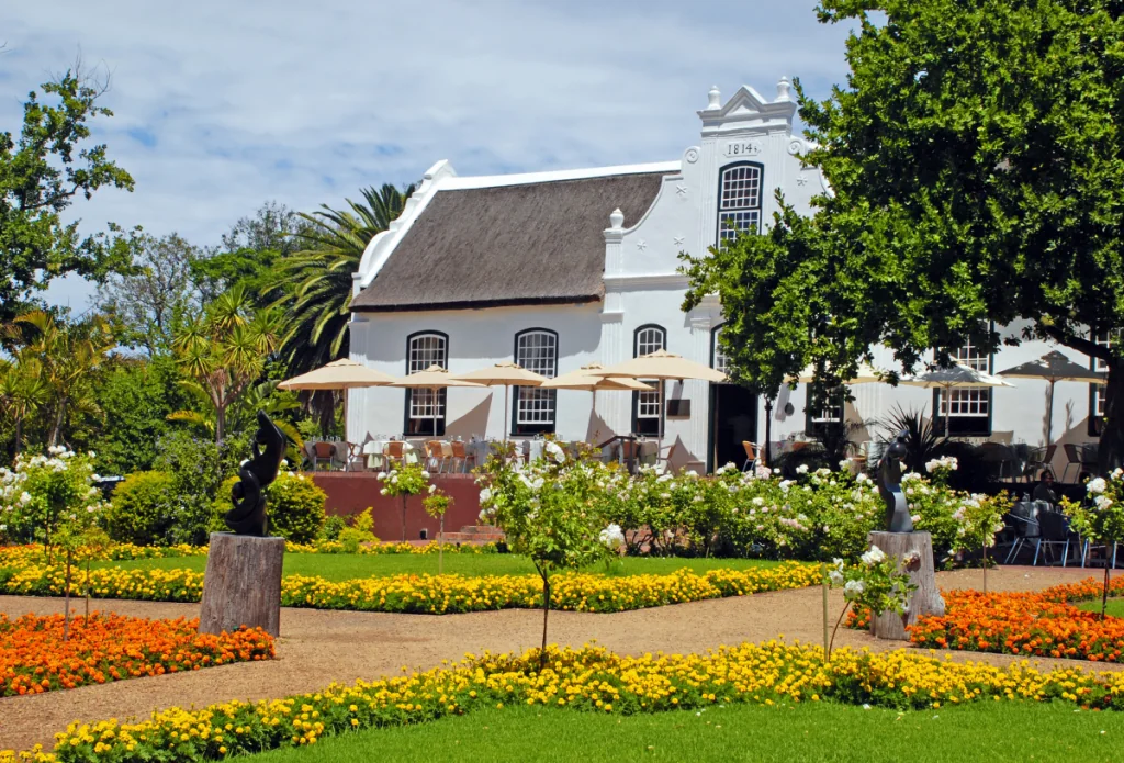 Vingård i Stellenbosch