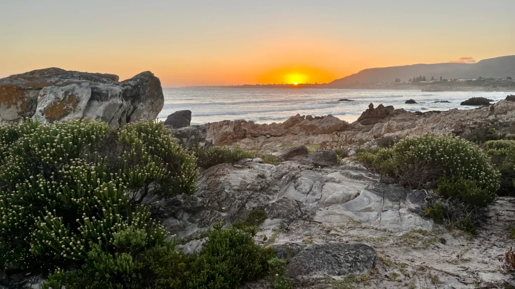 Att göra i Hermanus i Sydafrika