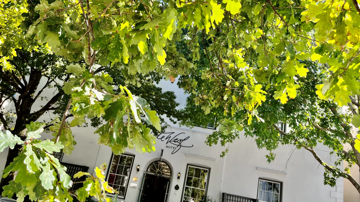 Att göra i Stellenbosch i Sydafrika