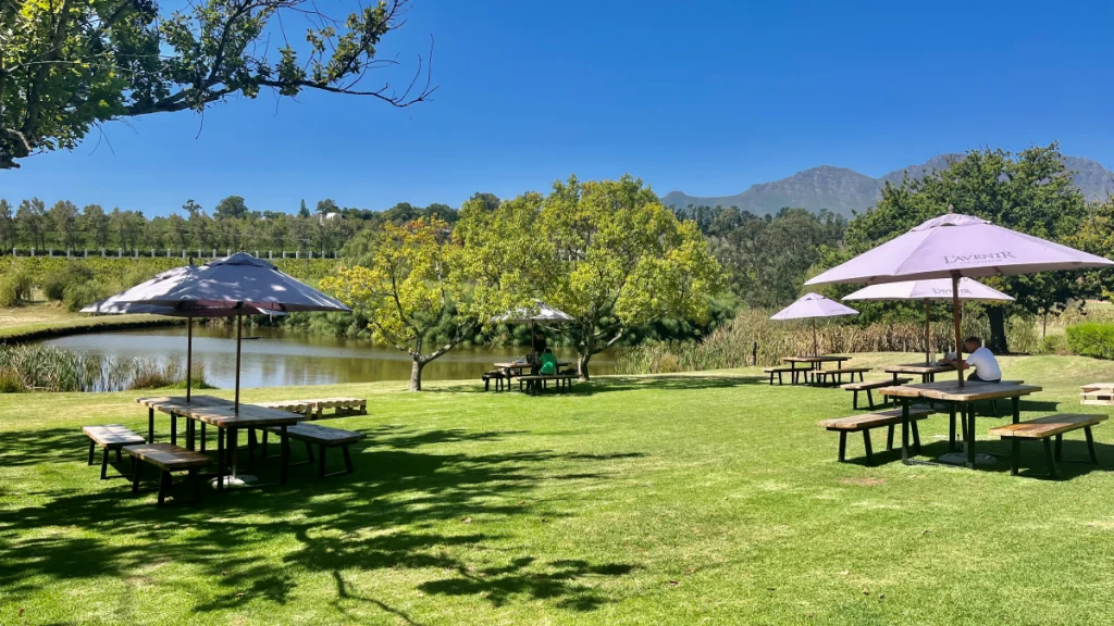 Vingårdar i Stellenbosch - L'Avenir Wine Estate