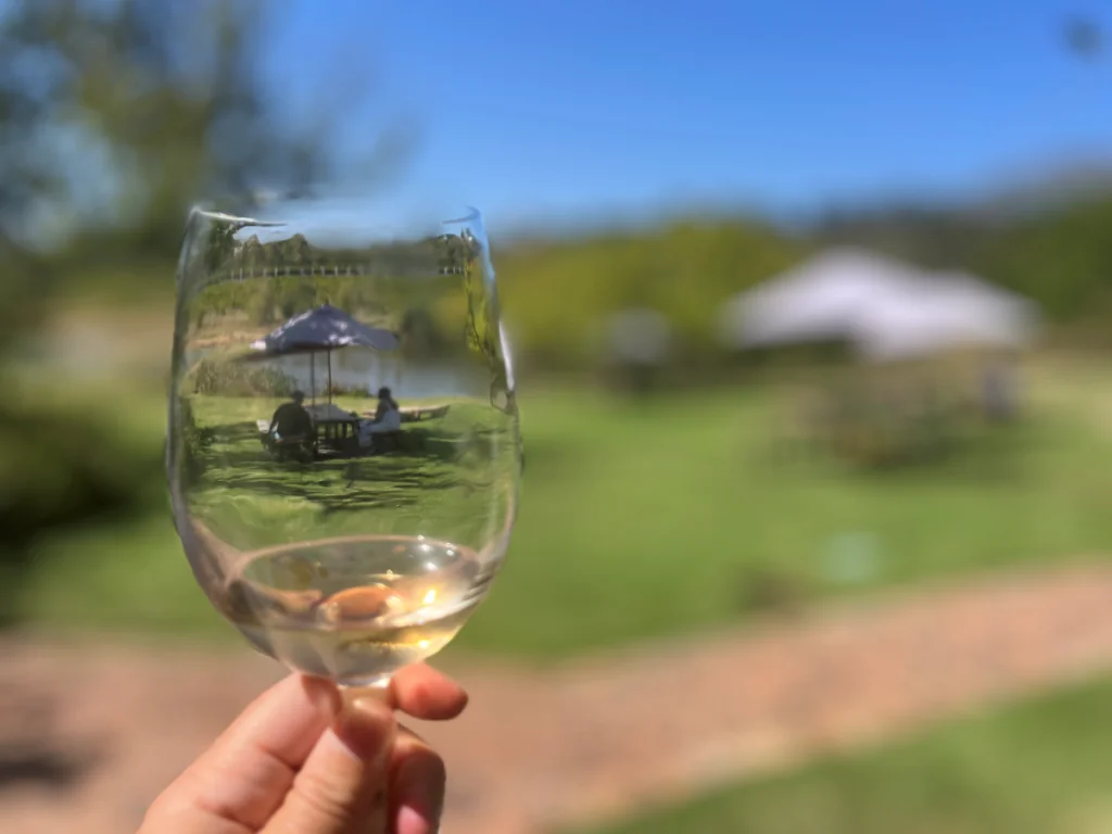 Vingårdar i Stellenbosch - L'Avenir Wine Estate