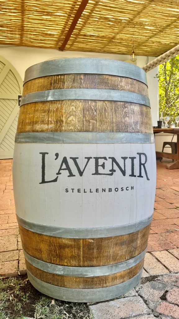 Vingårdar i Stellenbosch - L'Avenir Wine Estate