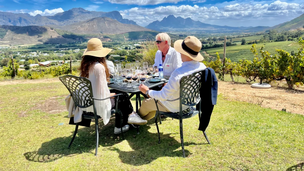 sydafrikansk vingård