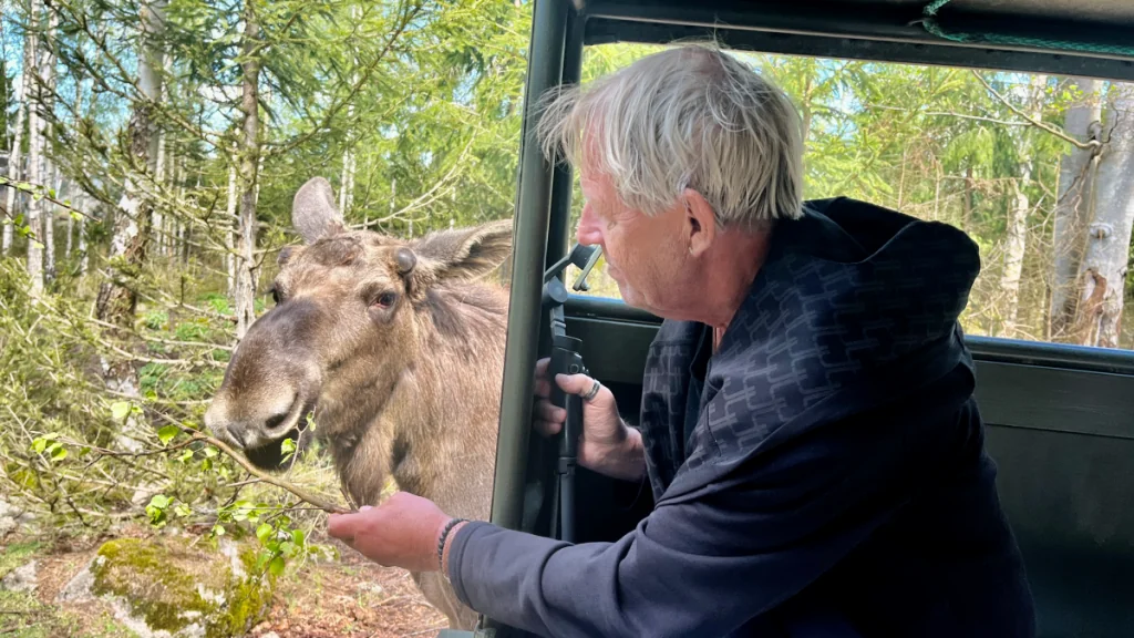 Peter med en älg