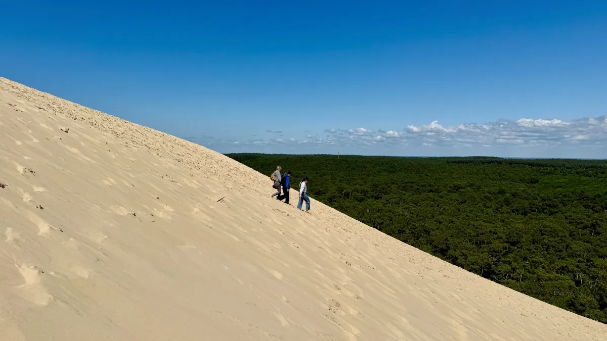 Att besöka Dune du Pilat