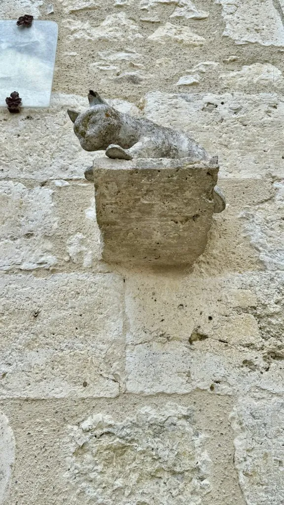 Kattstaty