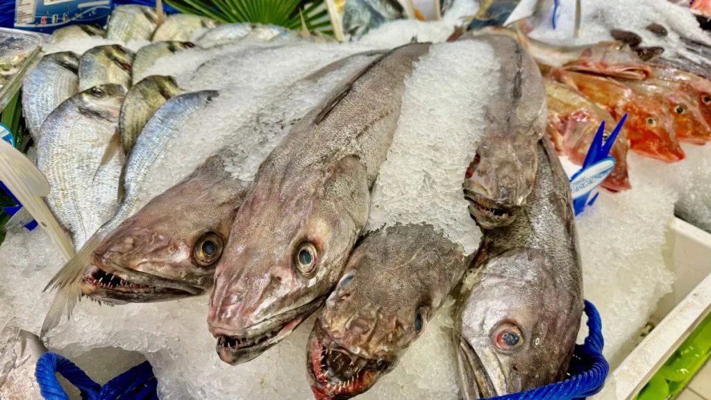 fisk