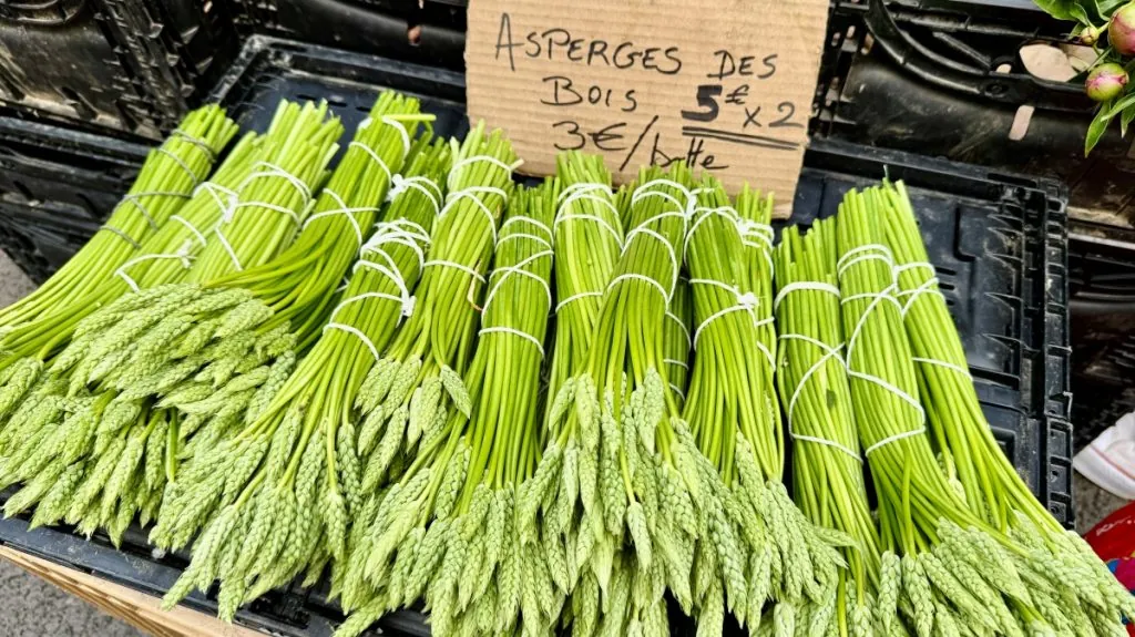 Asperges des bois