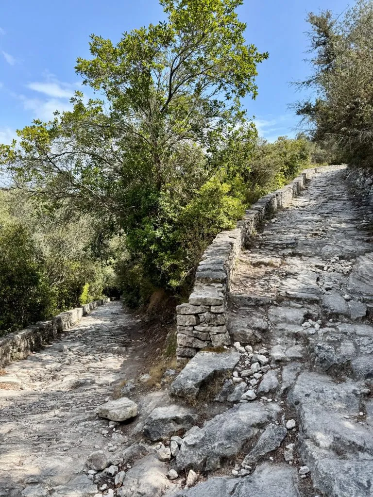 Strada Vecia-leden