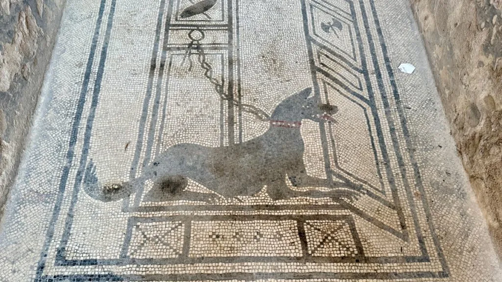 Mosaik