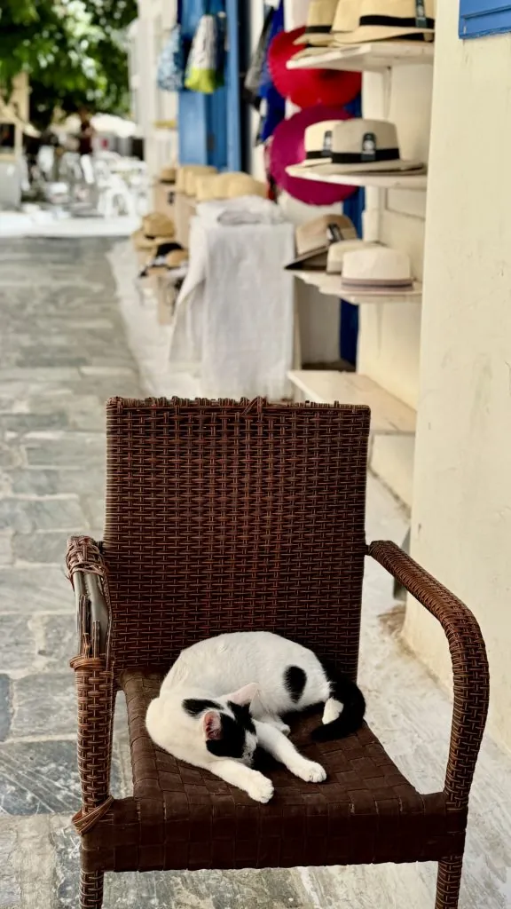 Att besöka Andros stad (Chora) på ön Andros i Grekland