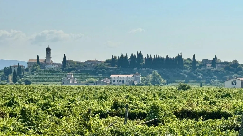 Valpolicella